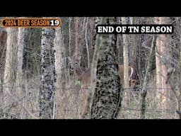 3 DAYS LEFT - Public Land Doe Hunting