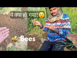 इतनी सारी 🐝मक्खियाँ ! Ye Kya Hogya 😐 | Nyutam Honey Farm