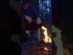 Camping in the forest. Norway.