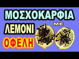 Λεμόνι και Μοσχοκάρφια -7 οφέλη