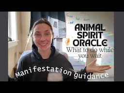 Oracle Reading: Animal Spirit Guidance for Manifestations in Progress (Timeless) [Jacqui Mancuso]