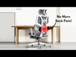 5 Best Office Chairs 2025 - Top Ergonomic Chairs 2025