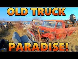 Truck HEAVEN! So Many Olds Trucks Just Waiting to Be Rebuilt! HUGE JUNKYARD! (Rohners Auto Parts)