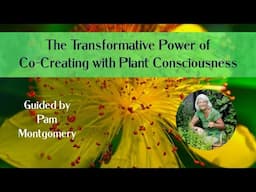 🌺 🌿🪻The Transformative Power of Co-Creating with Plant Consciousness ~ Guided by Pam Montgomery