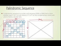 How to read Dot Plot Matrix