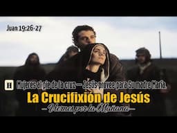 JESUS PROVEE PARA SU MADRE | Jesús y los Cuatro Evangelios 📚 #254