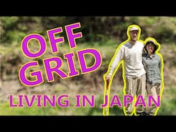 Off Grid Sustainable lifestyle in Japan | Living with the 4 seasons