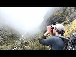 Chamois Everywhere - Mountain Hunting New Zealand