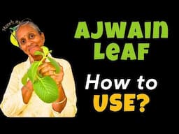 How to Use Ajwain Leaves Best | Ajwain Leaves Benefits and Side Effects