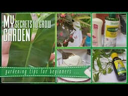 Top Secrets To Make Your Garden Grow | Gardening For Beginners Tamil