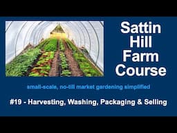 Sattin Hill Farm Course #19 - Harvesting, Washing, Packaging & Selling