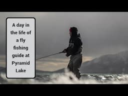 A Day as a Fly Fishing Guide at Pyramid Lake