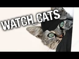 NO WATCH CATS EITHER? - Watch Cats - Gameplay - Part 3 (Deleted PewDiePie Video)