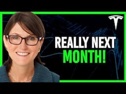 Cathie Wood: Tesla Stock (TSLA) Will Explode To $3000!