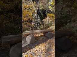 My favorite spot for a break on The Falls Trail at Ricketts Glen State Park PA - Waters Meet