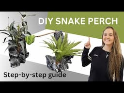 DIY Snake Perch! Great for tree climbing, arboreal snakes!