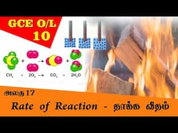 Rate of Reaction - தாக்க வீதம்| - Grade 10 Science | GCE O/L Tamil Medium