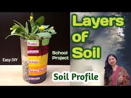 Layers of soil school project/how to make soil profile model for science exhibition/Kansal Creation