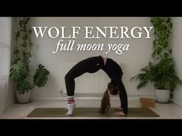 Wild Wolf Energy 🐺  Full Moon Flow (January, 2025)