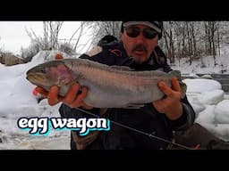 Ice Water Suburban Steelhead  -  NO SKUNKIN