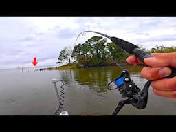 Fishing a JIG! alongside this ABANDONED SEA WALL and Caught a GIANT! *EPIC Results*