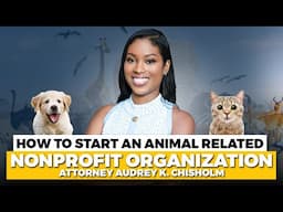 How to Start An Animal Nonprofit Organization