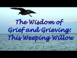 The Wisdom of Grief and Grieving: This Weeping Willow