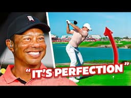 Why Tiger Woods LOVES Rory McIlroy's Swing..