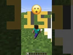 Can I Go Through Different Items #minecraft #shorts #meme