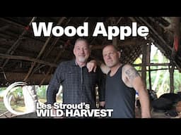 WILD HARVEST | WOOD APPLE | LES STROUD | PAUL ROGALSKI