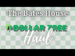 Dollar Tree haul January 2025