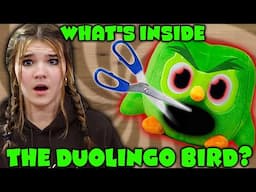 What's Inside The DUOLINGO OWL??