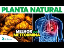 🌿 Essa PLANTA NATURAL é tão POTENTE quanto os MEDICAMENTOS de FARMÁCIA para DIABETES