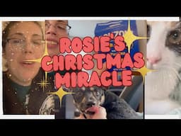 Rosie's Christmas Miracle (cozy vlog)