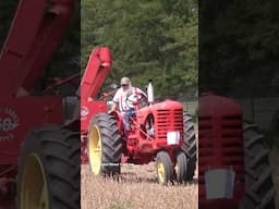 MASSEY HARRIS 44 Special Tractor and 50 Clipper Combine #bigtractorpower