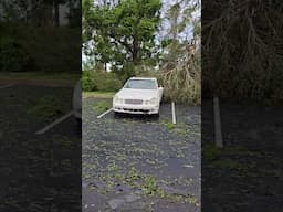 Sarasota & Lakewood Ranch south of university street day after Hurricane  Milton