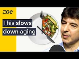 Longevity expert: Try this new type of fasting | Dr. Valter Longo and Prof. Tim Spector