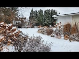 Mid-January Winter Interest Tour, Minnesota Zone 5a