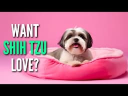 Win Your Shih Tzu's Love with These 7 Tips!