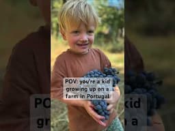 Not a care in the world for these adventurous boys of ours 🥰 #pov #kids #farm