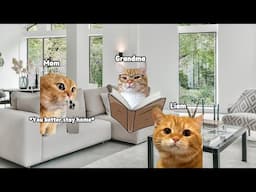 CAT MEMES FAMILY STORY EPISODE 3