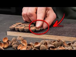 This DIY Woodturning Hack Will Transform How You See Acorn Caps Forever!