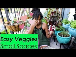 Grow your own Food | Easy Fast Growing Veggies | Small Space urban Garden - Daily Harvest & Pruning