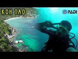 I Became a PADI Certified Scuba Diver in Thailand | Koh Tao Travel Vlog | Indian in Thailand E02