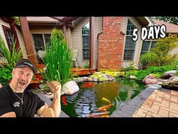 Incredible 5 Day Rehab - Backyard Pond