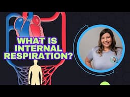 What is Internal Respiration?