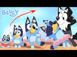 BLUEY 2025 Growing Up Stories Compilation | Cartoon Wow