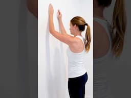 Shoulder Blade Exercises - Shoulder Stability