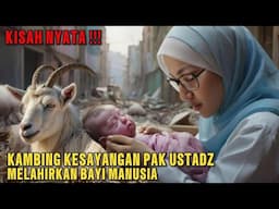 GEMPAR SEKAMPUNG !!! KAMBING KESAYANGAN PAK USTADZ MELAHIRKAN SEORANG BAYI MANUSIA