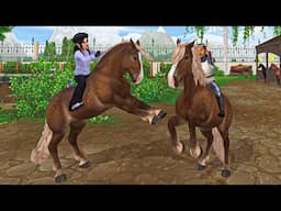 All 7 Noriker Horses in Star Stable